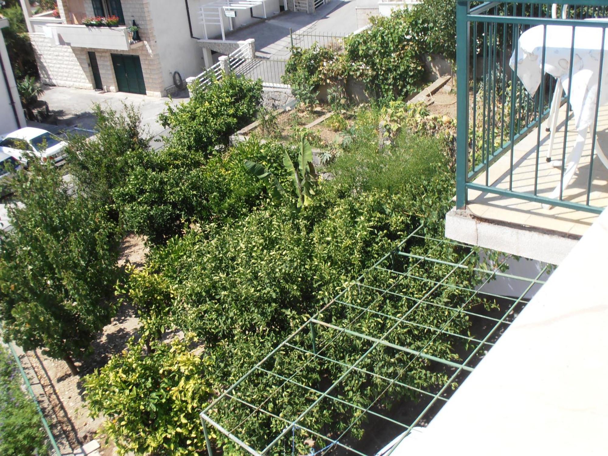 Apartment Villa Besker Makarska Exterior photo